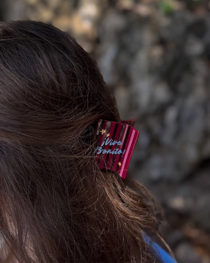 Hair Clip Hola Caracola