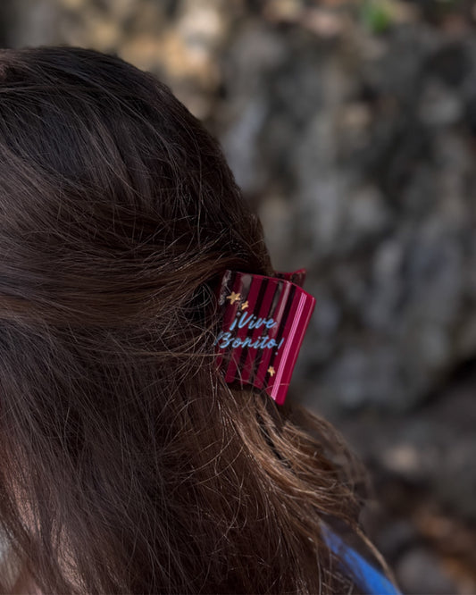 Hair Clip Hola Caracola
